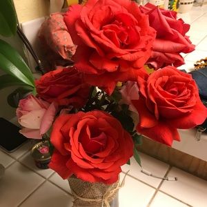 Meet your Posher, Theresa